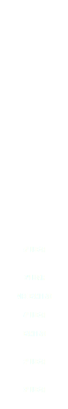 5º lugar 3ºlugar VICE campeão 4º Lugar Campeão 2º Lugar 3º Lugar 